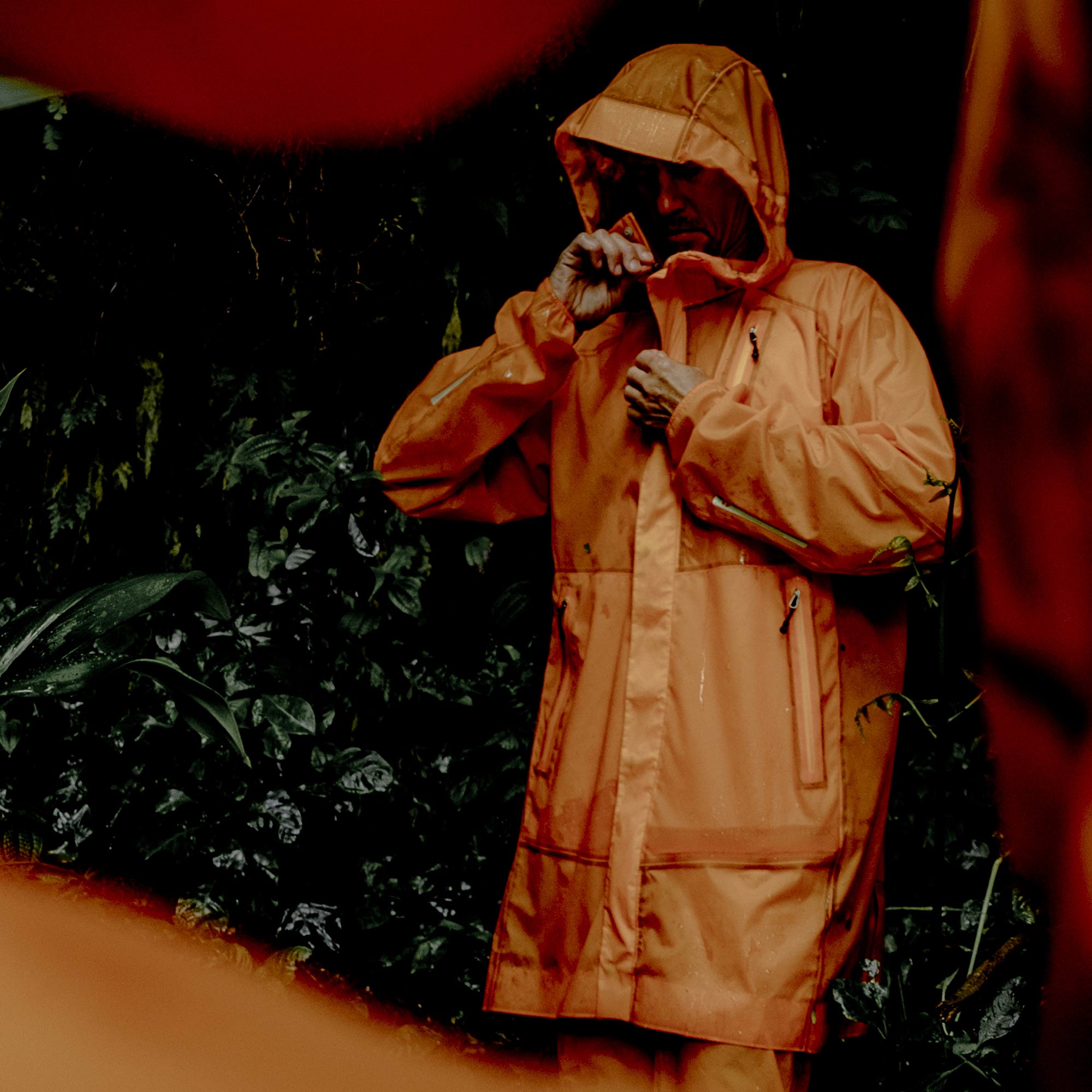 Dragonfly Waterproof Trench